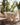 Mobilier