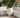 POT DE FLEURS ROND ALOE 55