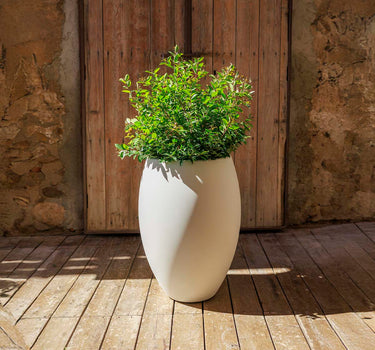 POT DE FLEURS HAUT ALOE 55 AVEC LUMIÈRE