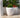 POT DE FLEURS ROND ARECA 80