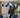 Parasol de type pagode ATRANI ø250 cm