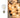 AMPOULE DE RECHANGE ALLEGRA CÂBLE
