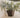 POT DE FLEURS CLAVEL 40