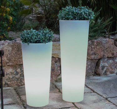 POT DE FLEURS HAUT FICUS 80 AVEC LUMIÈRE