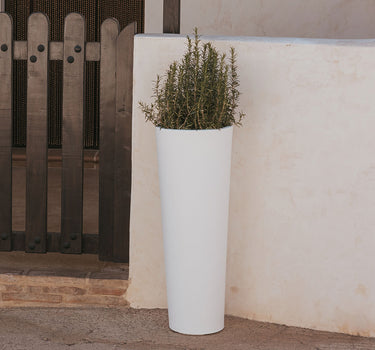 HAUT POT DE FLEURS FICUS 80