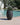 POT DE FLEURS ROND ALOE 45 - 04