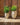 POT DE FLEURS ROND ALOE 55 - 11