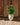 POT DE FLEURS ROND ALOE 55 - 14
