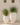 POT DE FLEURS ROND ALOE 45 - 16