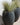 POT DE FLEURS ROND ALOE 45 - 26