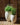 POT DE FLEURS ROND ALOE 45 - 37