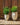 POT DE FLEURS ROND ALOE 45 - 38