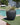 POT DE FLEURS ROND ARECA 60 - 01