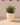 POT DE FLEURS ROND ARECA 80 - 06