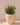 POT DE FLEURS ROND ARECA 60 - 08