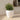 POT DE FLEURS ROND ARECA 60 - 11