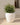 POT DE FLEURS ROND ARECA 80 - 11