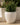 POT DE FLEURS ROND ARECA 80 - 16