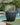 POT DE FLEURS ROND ARECA 60 - 25