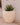 POT DE FLEURS ROND ARECA 60 - 29