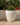POT DE FLEURS ROND ARECA 80 - 34