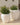 POT DE FLEURS ROND ARECA 60 - 36