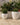 POT DE FLEURS ROND ARECA 60 - 37