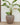 POT DE FLEURS ROND ARECA 80 - 39