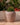 POT DE FLEURS ROND ARECA 60 - 40