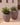 POT DE FLEURS ROND ARECA 80 - 42