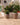 POT DE FLEURS ROND ARECA 60 - 43