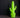 LAMPE KAKTUS VERT CITRON
