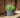 POT DE FLEURS ROND MARANTA 60 x 40