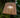 Lampe suspendue sans fil OKINAWA HANG