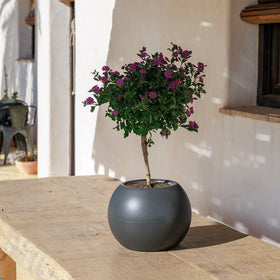 POT DE FLEURS ROND DALIA 30