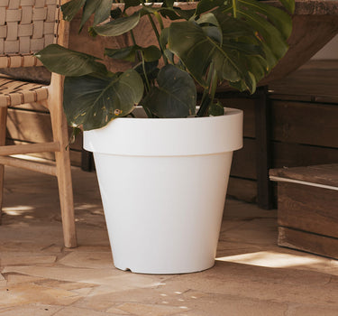 GRAND POT MAGNOLIA 60