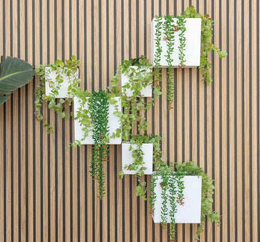 Jardinière murale Wally Pot sans lumière